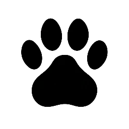 Mayra Aguiar – Reabilitação Veterinária